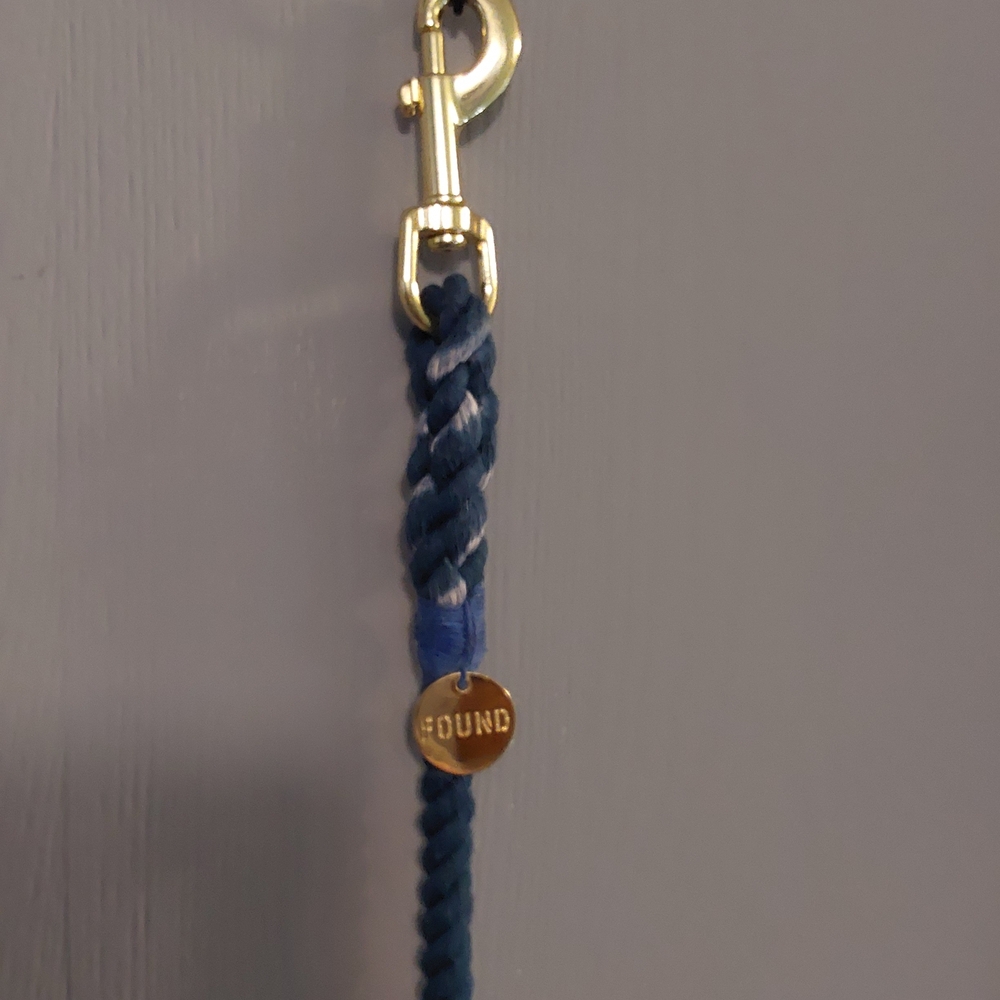 Found Blue Ombre Braided Dog Leash with Gold-Color Hardware